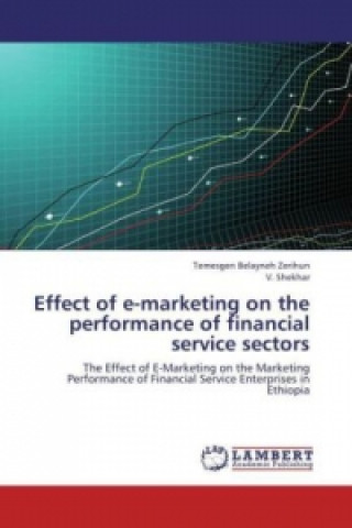 Kniha Effect of e-marketing on the performance of financial service sectors Temesgen Belayneh Zerihun