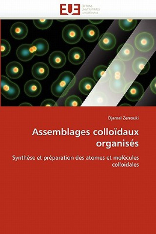 Knjiga Assemblages colloidaux organises Djamal Zerrouki