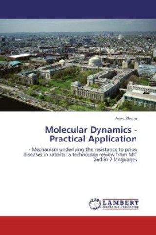 Книга Molecular Dynamics - Practical Application Jiapu Zhang