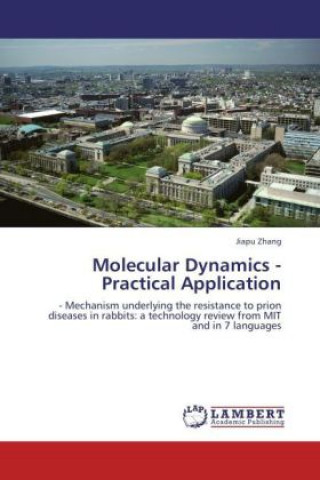 Knjiga Molecular Dynamics - Practical Application Jiapu Zhang