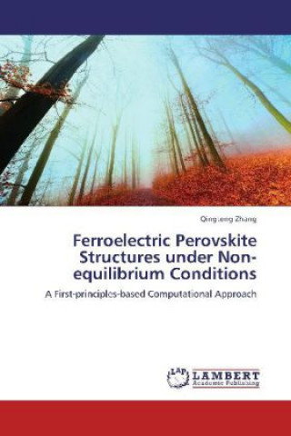 Książka Ferroelectric Perovskite Structures under Non-equilibrium Conditions Qingteng Zhang