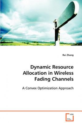 Książka Dynamic Resource Allocation in Wireless Fading Channels Rui Zhang