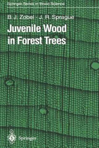 Carte Juvenile Wood in Forest Trees Bruce J. Zobel