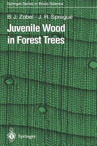 Kniha Juvenile Wood in Forest Trees Bruce J. Zobel