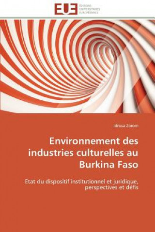 Kniha Environnement Des Industries Culturelles Au Burkina Faso Idrissa Zorom