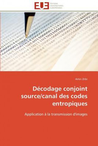 Book D codage Conjoint Source/Canal Des Codes Entropiques Amin Zribi