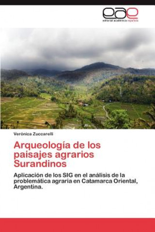 Kniha Arqueologia de Los Paisajes Agrarios Surandinos Verónica Zuccarelli