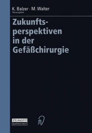 Kniha Zukunftsperspektiven in der Gefäßchirurgie Klaus Balzer