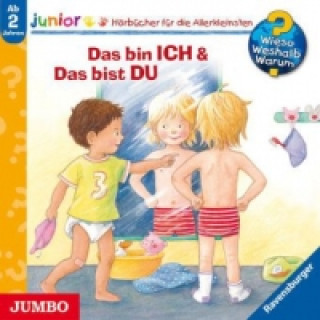 Audio Das bin ich & Das bist du, 1 Audio-CD 