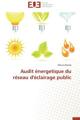 Kniha Audit  nergetique Du R seau d' clairage Public Mouna Barrak