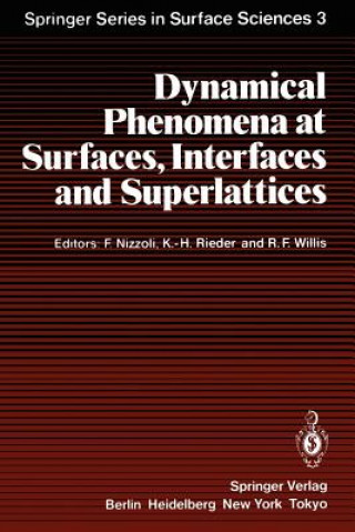 Книга Dynamical Phenomena at Surfaces, Interfaces and Superlattices Fabrizio Nizzoli