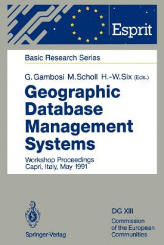 Könyv Geographic Database Management Systems Giorgio Gambosi