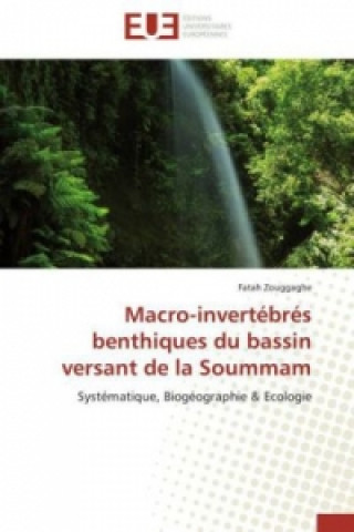 Knjiga Macro-invertébrés benthiques du bassin versant de la Soummam Fatah Zouggaghe