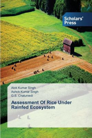 Kniha Assessment Of Rice Under Rainfed Ecosystem Alok Kumar Singh