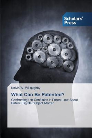 Kniha What Can Be Patented? Willoughby Kelvin W