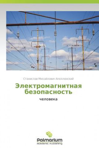 Kniha Elektromagnitnaya Bezopasnost' Apollonskiy Stanislav Mikhaylovich