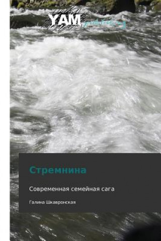 Knjiga Stremnina Galina Shkavronskaya