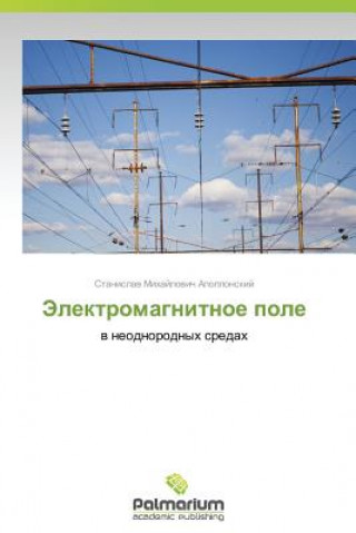 Kniha Elektromagnitnoe Pole Stanislav Mikhaylovich Apollonskiy
