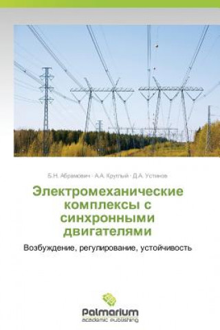 Książka Elektromekhanicheskie Kompleksy S Sinkhronnymi Dvigatelyami B. N. Abramovich