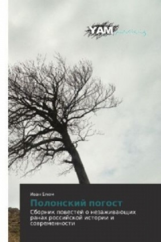 Boek Polonskij pogost Ivan Blyum