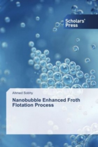 Kniha Nanobubble Enhanced Froth Flotation Process Ahmed Sobhy