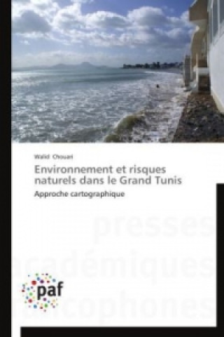 Carte Environnement Et Risques Naturels Dans Le Grand Tunis Walid Chouari