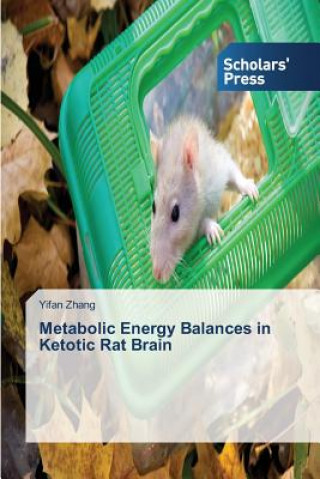 Könyv Metabolic Energy Balances in Ketotic Rat Brain Yifan Zhang