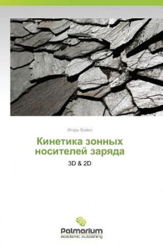 Książka Kinetika Zonnykh Nositeley Zaryada Igor' Boyko