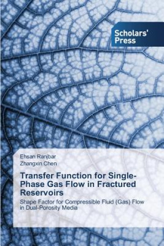 Kniha Transfer Function for Single-Phase Gas Flow in Fractured Reservoirs Ehsan Ranjbar