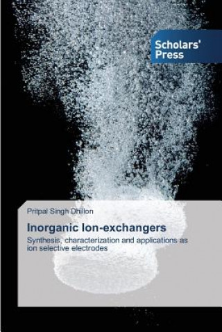 Könyv Inorganic Ion-exchangers Pritpal Singh Dhillon