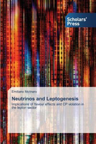 Könyv Neutrinos and Leptogenesis Emiliano Molinaro