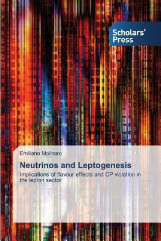 Knjiga Neutrinos and Leptogenesis Emiliano Molinaro