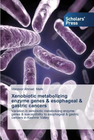 Kniha Xenobiotic Metabolizing Enzyme Genes & Esophageal & Gastric Cancers Manzoor Ahmad Malik