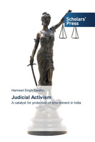 Kniha Judicial Activism Harmeet Singh Sandhu