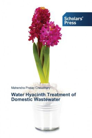 Könyv Water Hyacinth Treatment of Domestic Wastewater Mahendra Pratap Choudhary