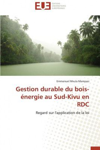 Kniha Gestion Durable Du Bois- nergie Au Sud-Kivu En Rdc Emmanuel Mvula Mampasi