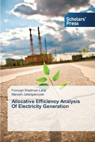 Kniha Allocative Efficiency Analysis Of Electricity Generation Foroogh Shadman Lahiji