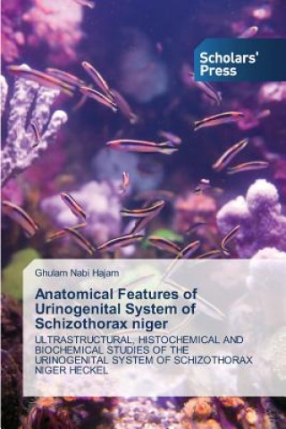 Książka Anatomical Features of Urinogenital System of Schizothorax Niger Ghulam Nabi Hajam