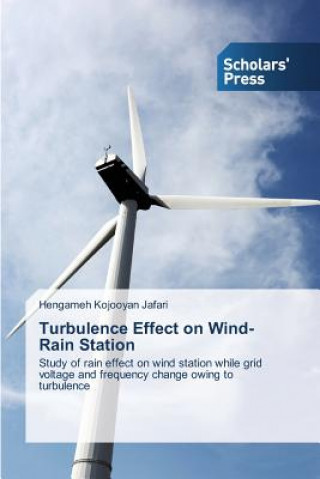 Kniha Turbulence Effect on Wind-Rain Station Hengameh Kojooyan Jafari