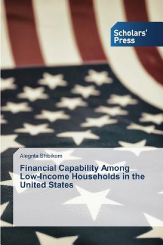 Kniha Financial Capability Among Low-Income Households in the United States Alegnta Shibikom
