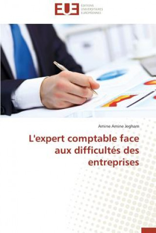 Carte L'Expert Comptable Face Aux Difficult s Des Entreprises Amine Amine Jegham