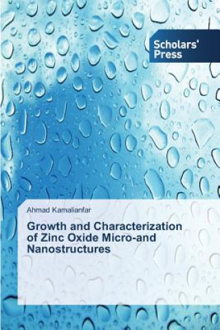 Книга Growth and Characterization of Zinc Oxide Micro-and Nanostructures Ahmad Kamalianfar