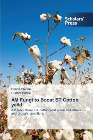 Książka AM Fungi to Boost BT Cotton yeild Bharat Shinde