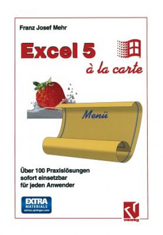 Kniha Excel 5 A La Carte Franz Josef Mehr