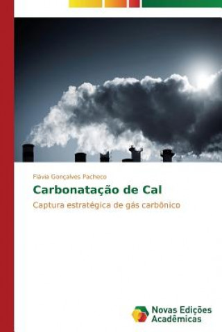 Книга Carbonatacao de Cal Flávia Gonçalves Pacheco