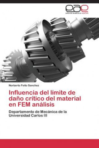 Buch Influencia del limite de dano critico del material en FEM analisis Norberto Feito Sanchez