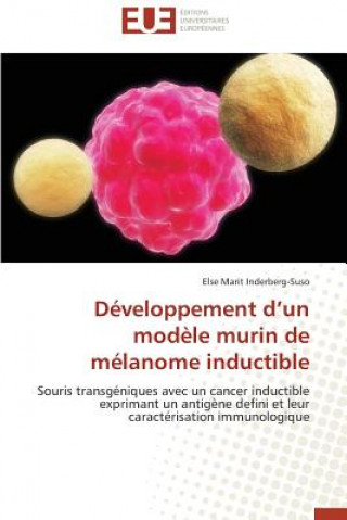 Buch D veloppement D Un Mod le Murin de M lanome Inductible Else Marit Inderberg-Suso