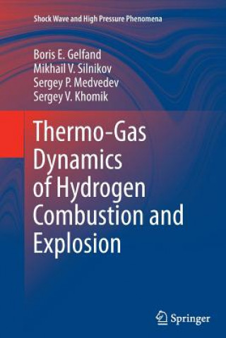 Книга Thermo-Gas Dynamics of Hydrogen Combustion and Explosion Boris E. Gelfand