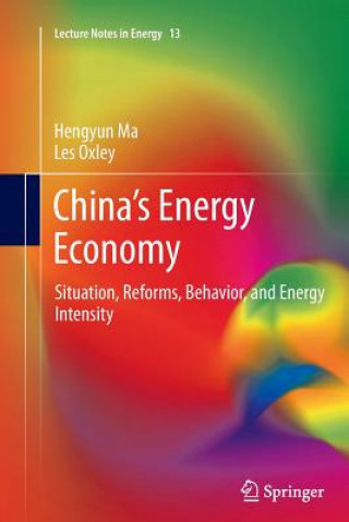 Kniha China's Energy Economy Hengyun Ma