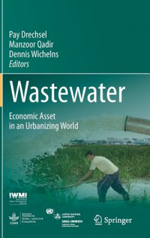 Книга Wastewater Pay Drechsel